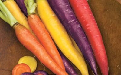 Sore Throat?  Try a Carrot Poultice