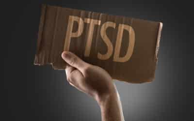 Can PTSD Treatment Be Supported With Holistic Care?